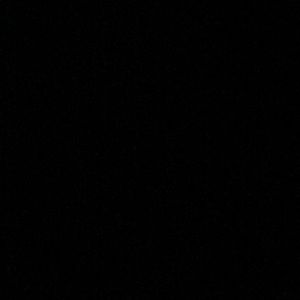 Meet your Posher, Jacqueline